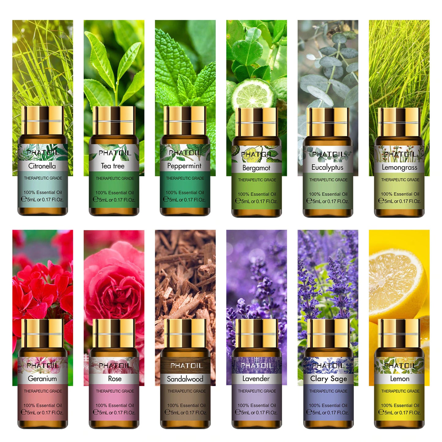 Aroma Gift Set- 12 Premium Essential Oils