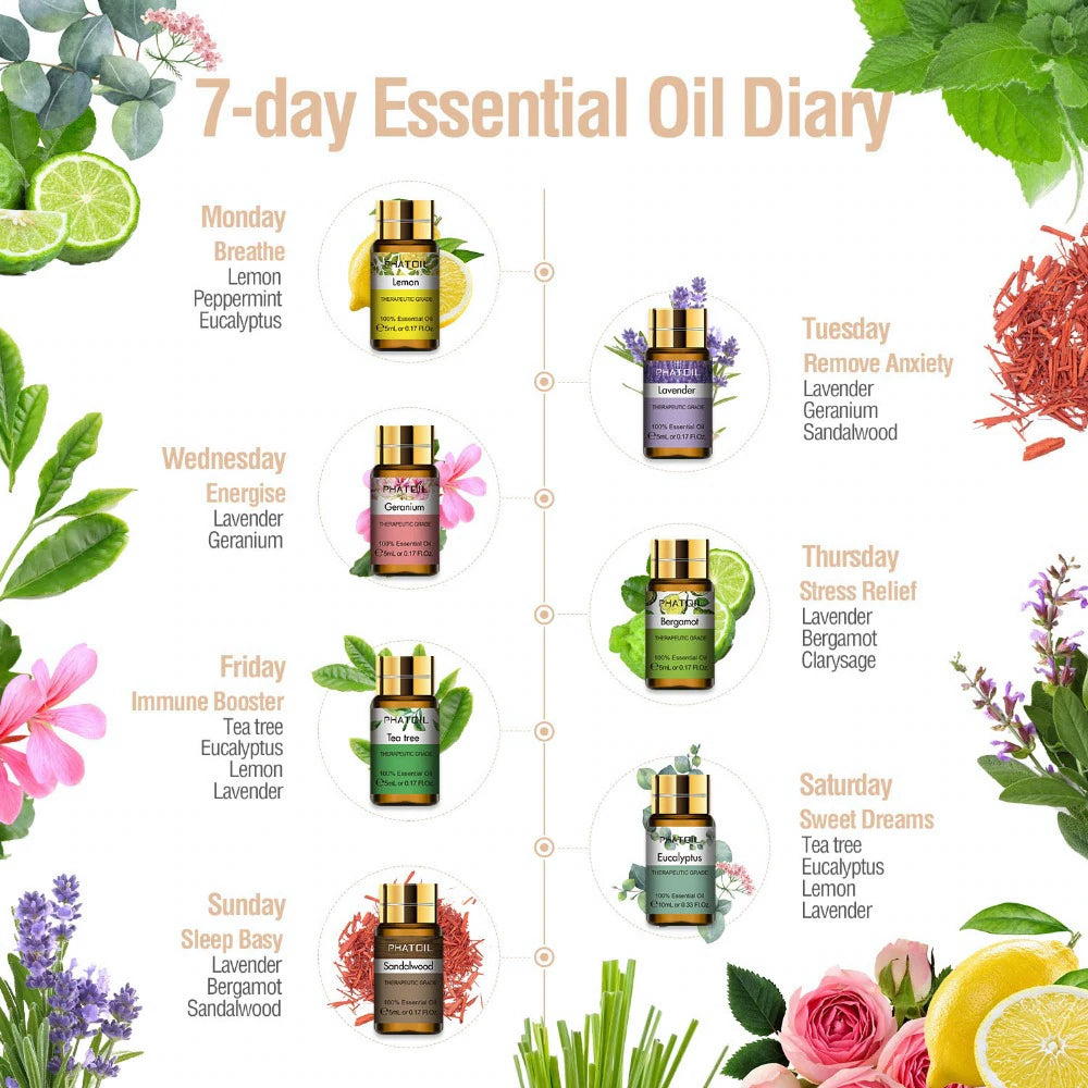 Aroma Gift Set- 12 Premium Essential Oils