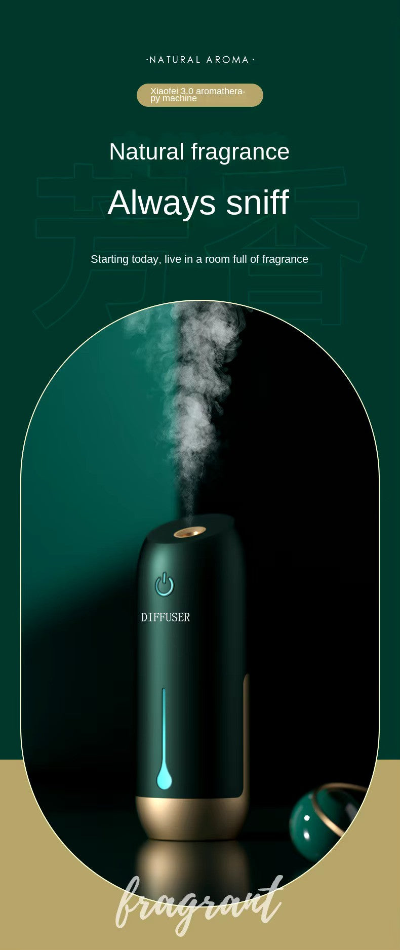 Wall Mounted Essential Oil Diffuser
